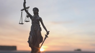 Steuernews-TV: November 2025